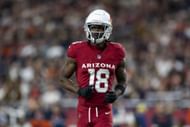 Marvin Harrison Jr. fantasy outlook